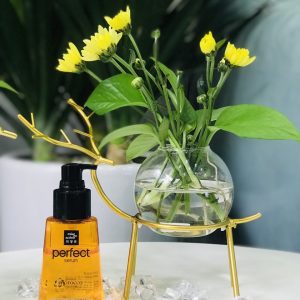 DƯỠng TÓc Perfect