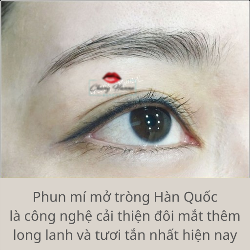 Phun Mí Mở Tròng Hàn Quốc