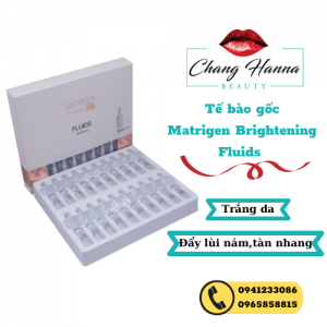 Tế bào gốc trị nám