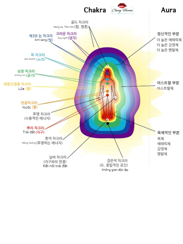 Serum chống lão hóa Color Tree Hàn Quốc
