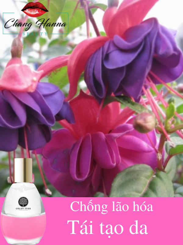 Serum trẻ hóa Hàn Quốc