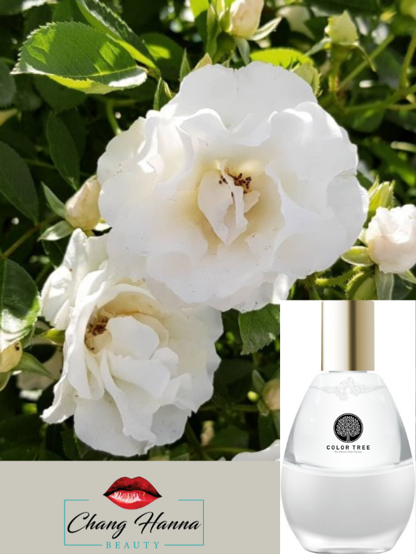 Serum tre hoa