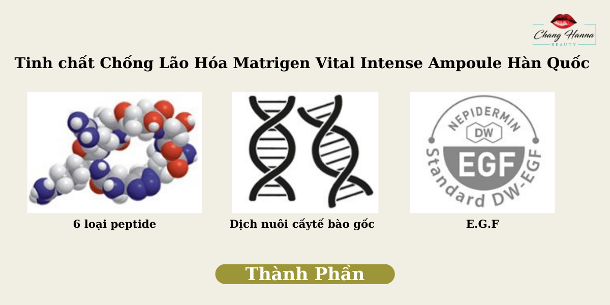 Tinh chất Chống Lão Hóa Matrigen Vital Intense Ampoule Hàn Quốc