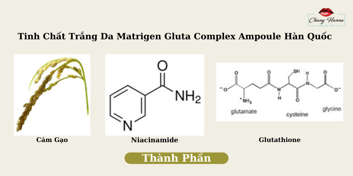 Tinh Chất Trắng Da Matrigen Gluta Complex Ampoule Hàn Quốc
