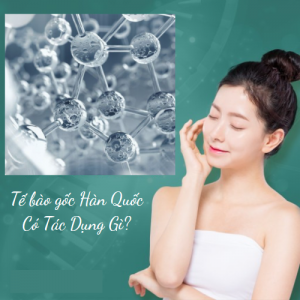 Tế Bào Gốc
